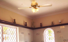 Mount Valley Goa, Ceiling Fan